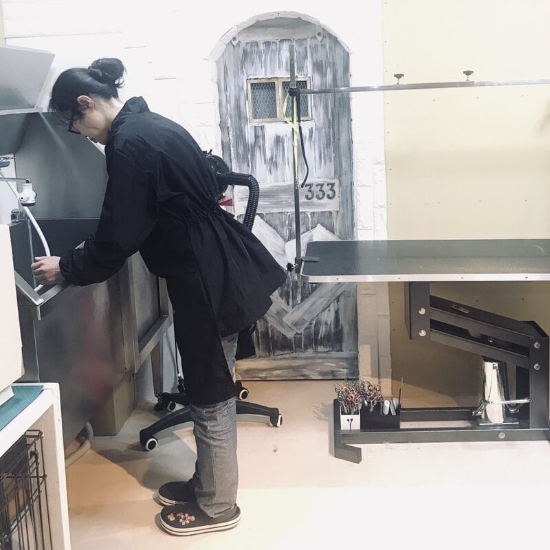 333 Dog-Care トリミングの道具店