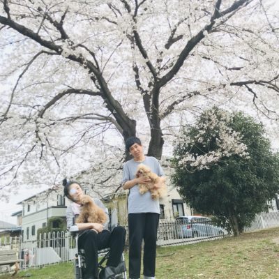 桜の前で店長鈴木の兄と車いすの母とプードル2匹