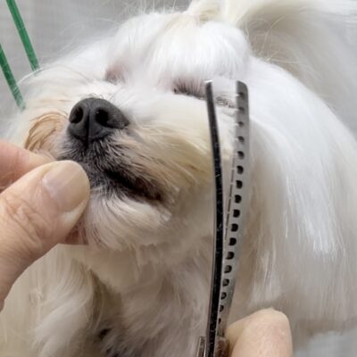 シンプルモデル】カーブのチャンカー 6.5inch＊ハンドルモデルチェンジ