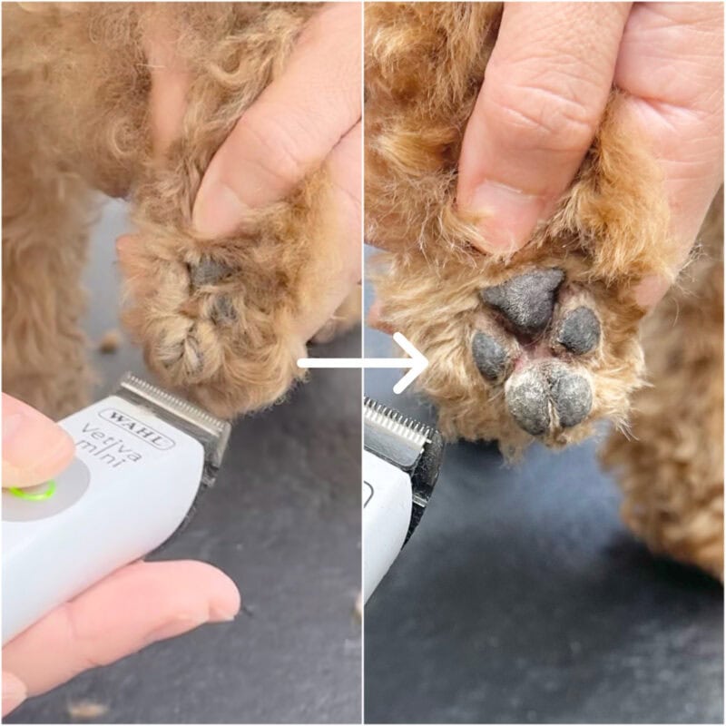 WAHL】Vetiva Mini Adv ベティバミニ・アドバンス – 333 Dog WAHL】Vetiva Mini Adv ベティバミニ・アドバンス – 333 Dog
