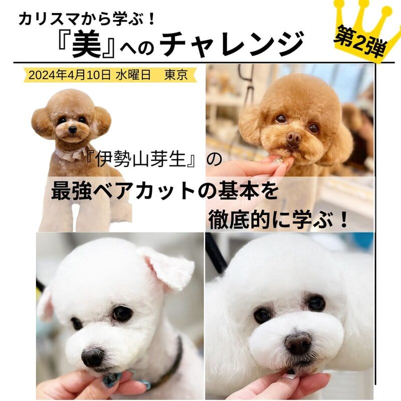 ２日目　最強ベアカットの基本を徹底的に学ぶ【4月9日、10日『伊勢山芽生』さんの特別セミナー開催決定！】