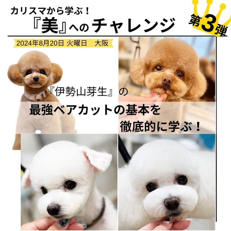 ２日目　最強ベアカットの基本を徹底的に学ぶ【8月20日『伊勢山芽生』さんの特別セミナー in 大阪 開催決定！】