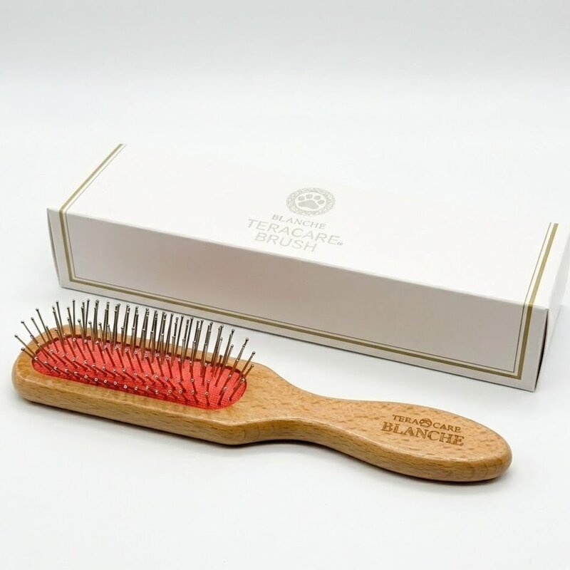 正規販売代理店】BLANCHE ブランシュ テラケアブラシ ハイパー