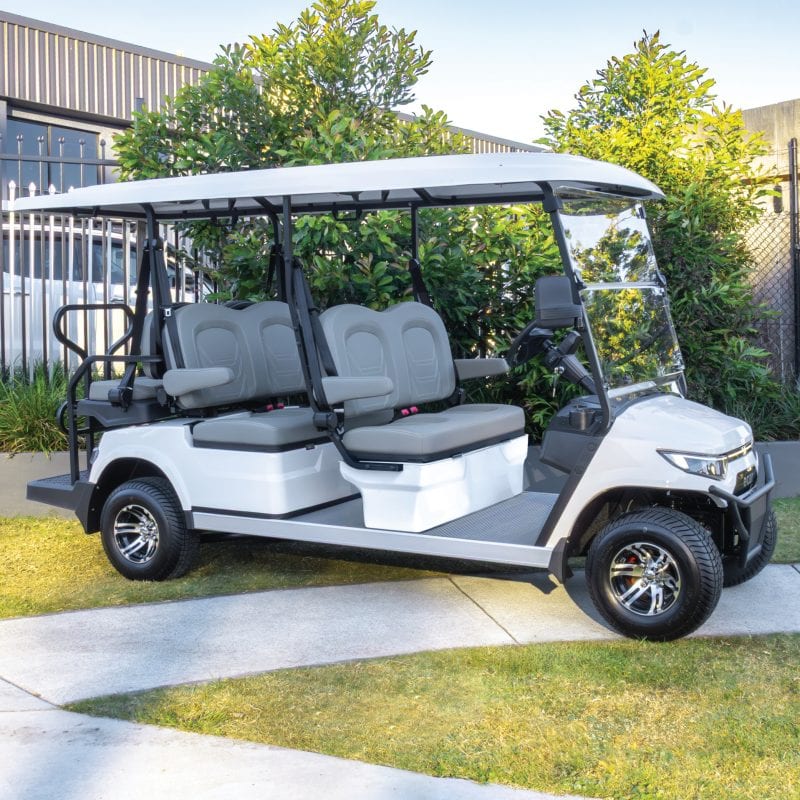 ECAR Lithium Magnum 6S Golf Cart