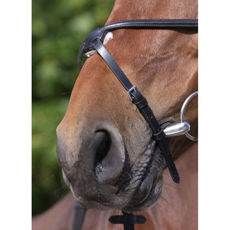 Meksička uzda MUSEROLLE - Слика 5