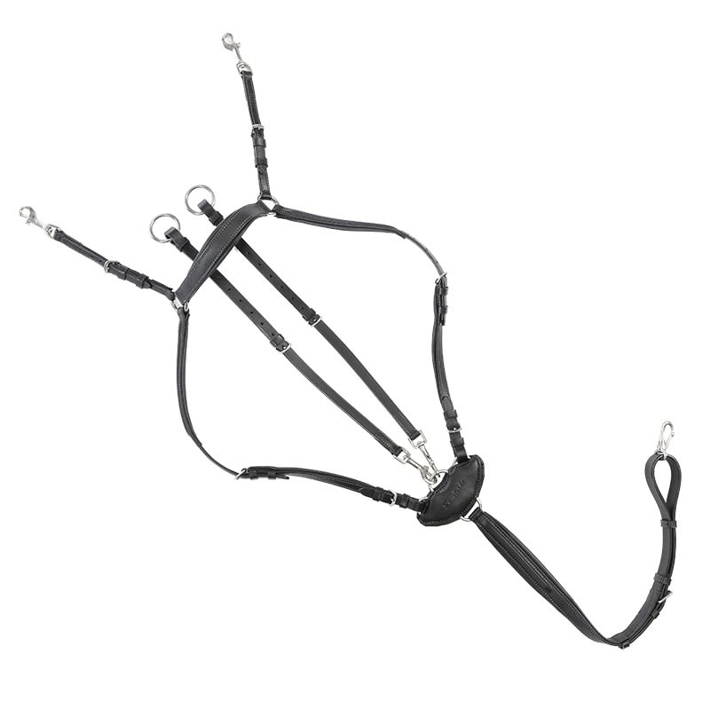 Pršnjak i martingal Dekor - Слика 3