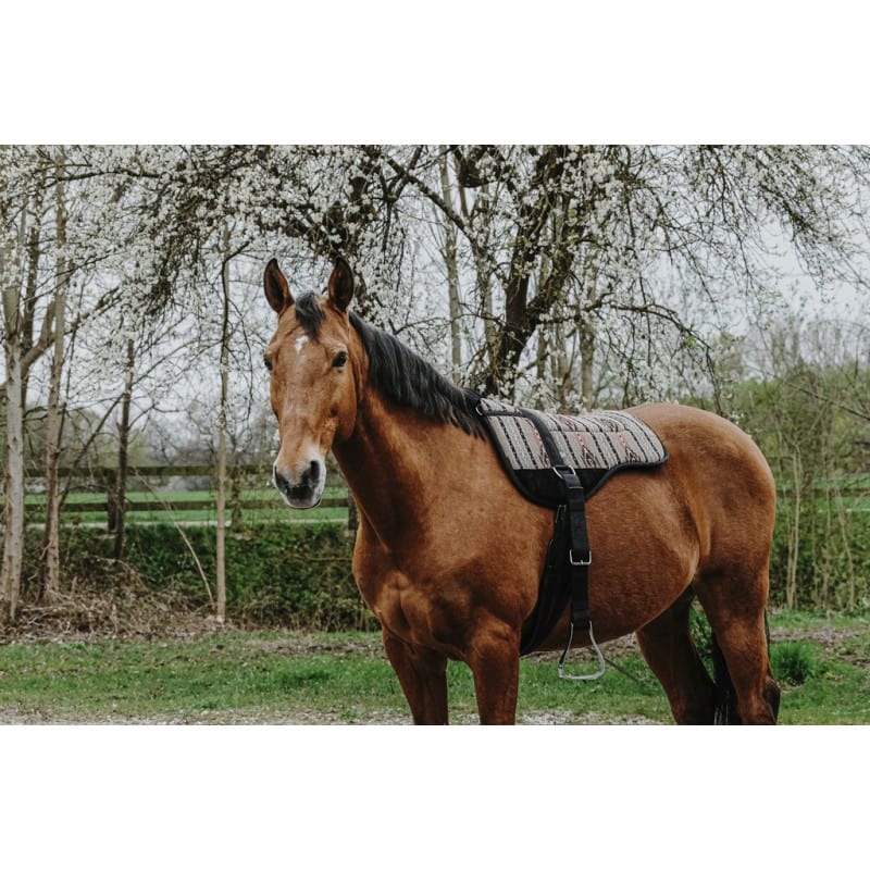 Sedlo bareback Kiowa Norton 4