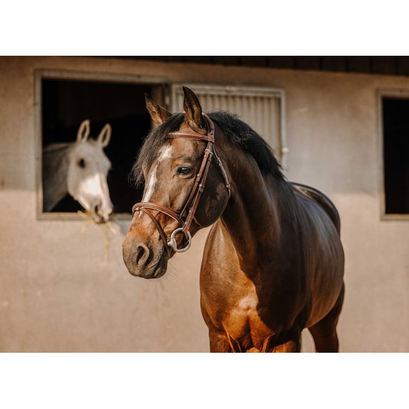 Uzda Crown Eric Thomas Uzda Crown Eric Thomas