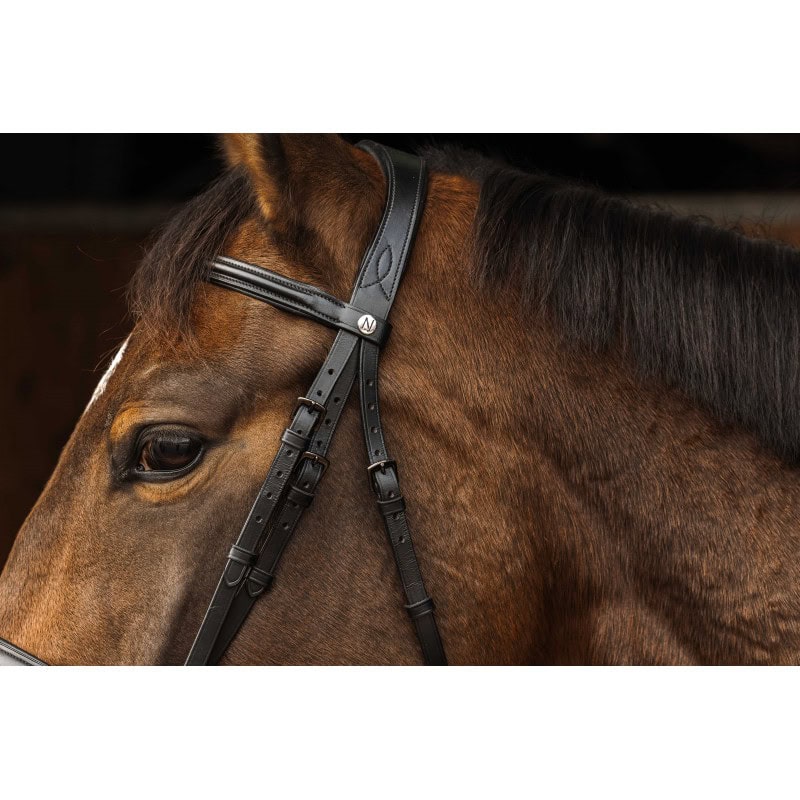 Uzda Dark Norton Pro 3