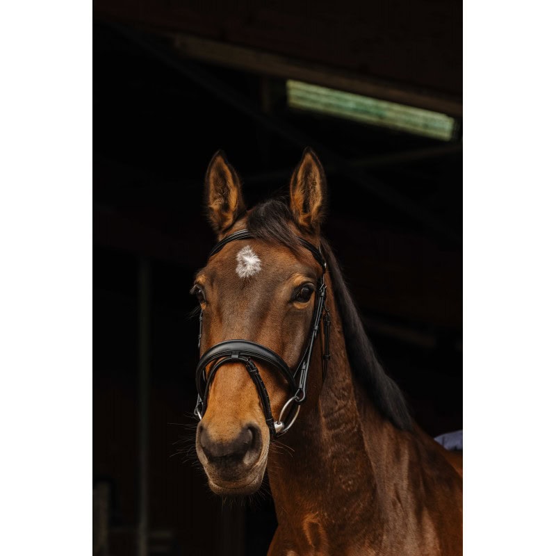 Uzda Dark Norton Pro Uzda Dark Norton Pro