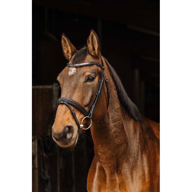 Uzda Galon Norton Pro Uzda Galon Norton Pro