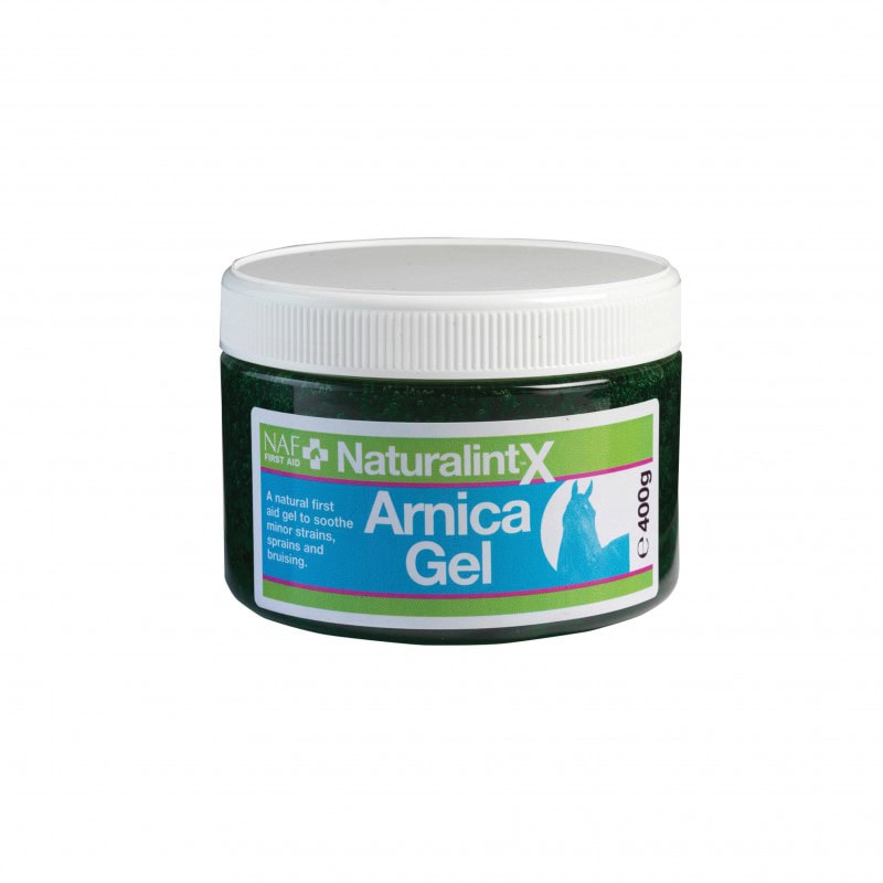 Gel Arnica 400ml NaturalintX