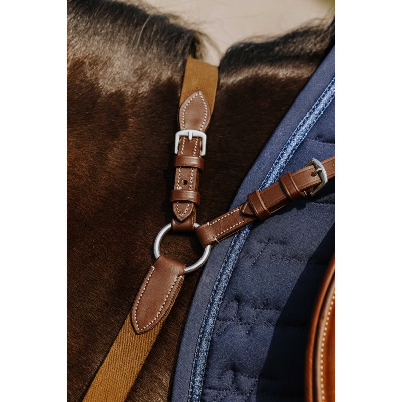 Pršnjak i martingal 5 Points Norton 5