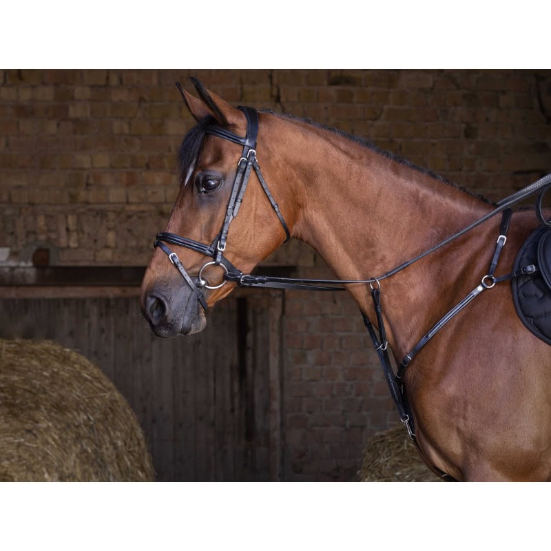 Pršnjak i martingal Hybrid Eric Thomas 2