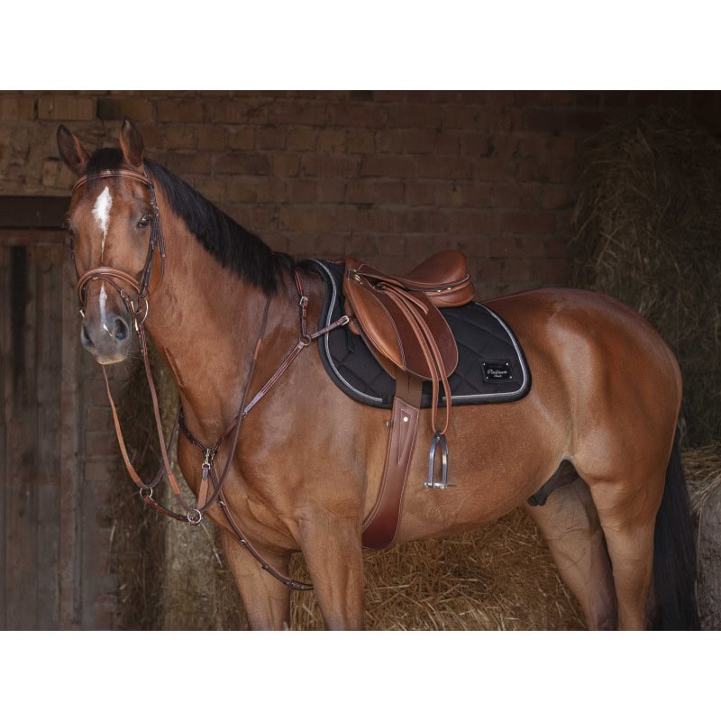 Pršnjak i martingal Hybrid Eric Thomas 3