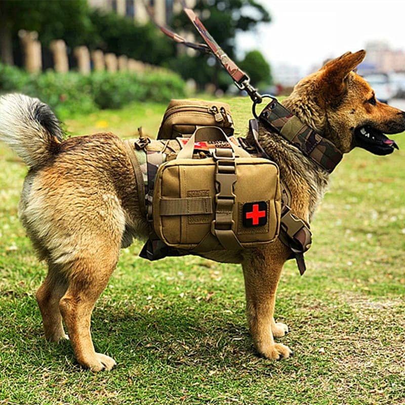 tactical medical pouch