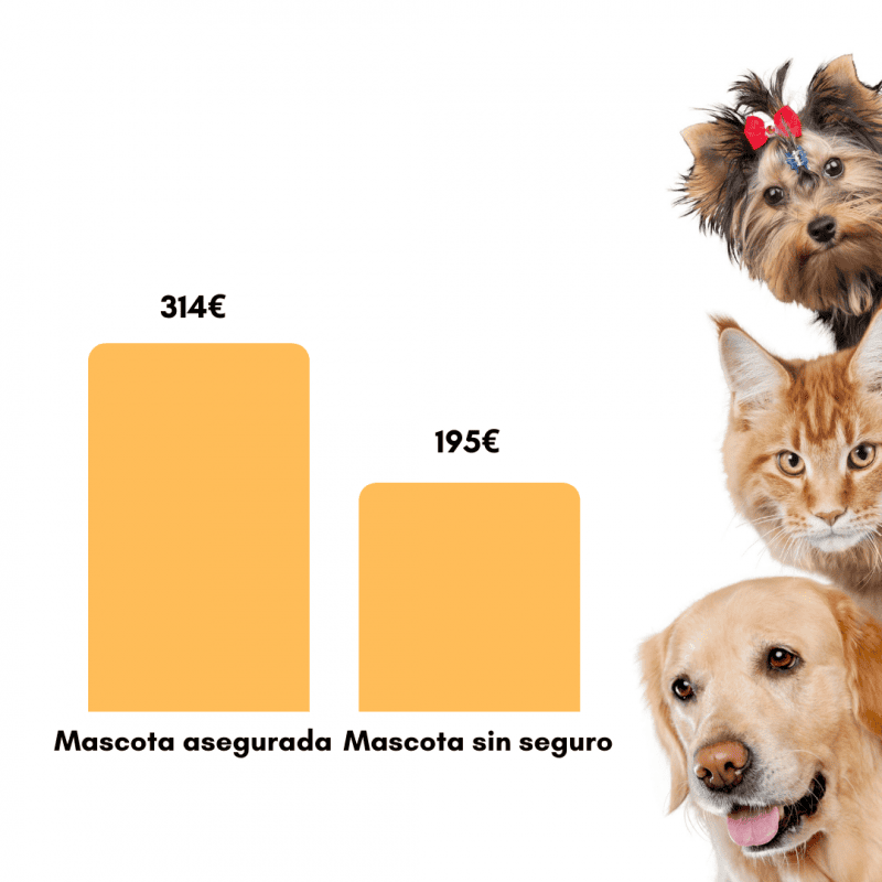 GRAFICO FINAL 2 GRAFICO FINAL 2