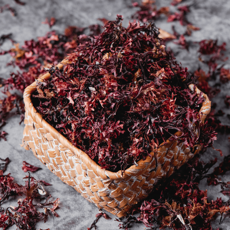 Sea-Moss-Hair-Gel