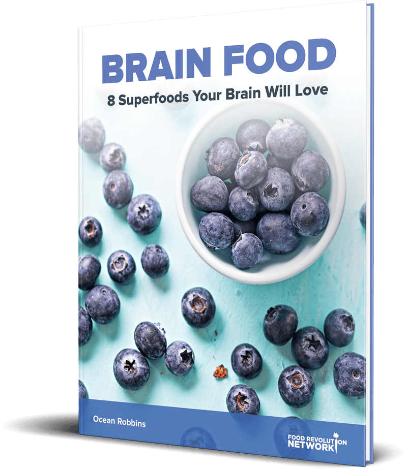 BRAIN FOOD 8 Superfoods Your Brain Will Love book cover