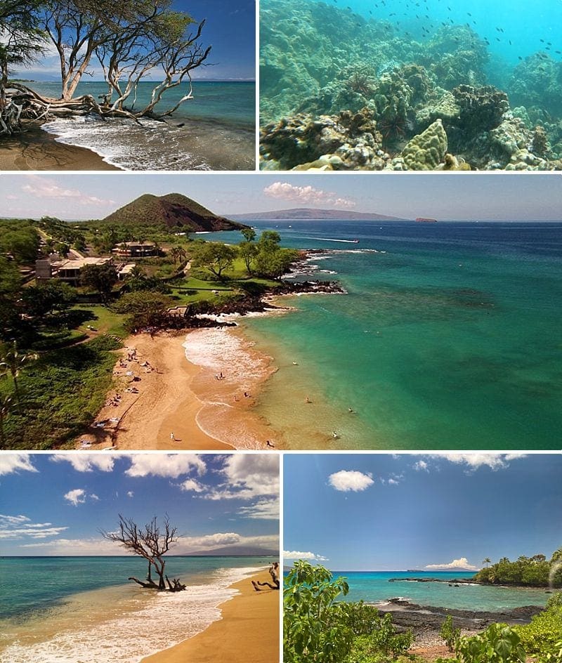 Maui Questions Snorkel Spots