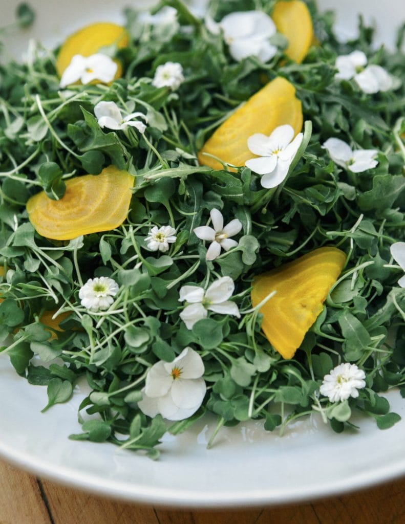 Spring Microgreens Salad