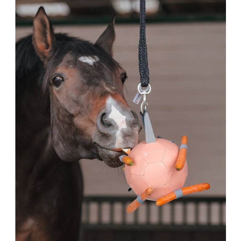 Lopta za boks sa šargarepama Waldhausen Lopta za boks sa šargarepama Waldhausen