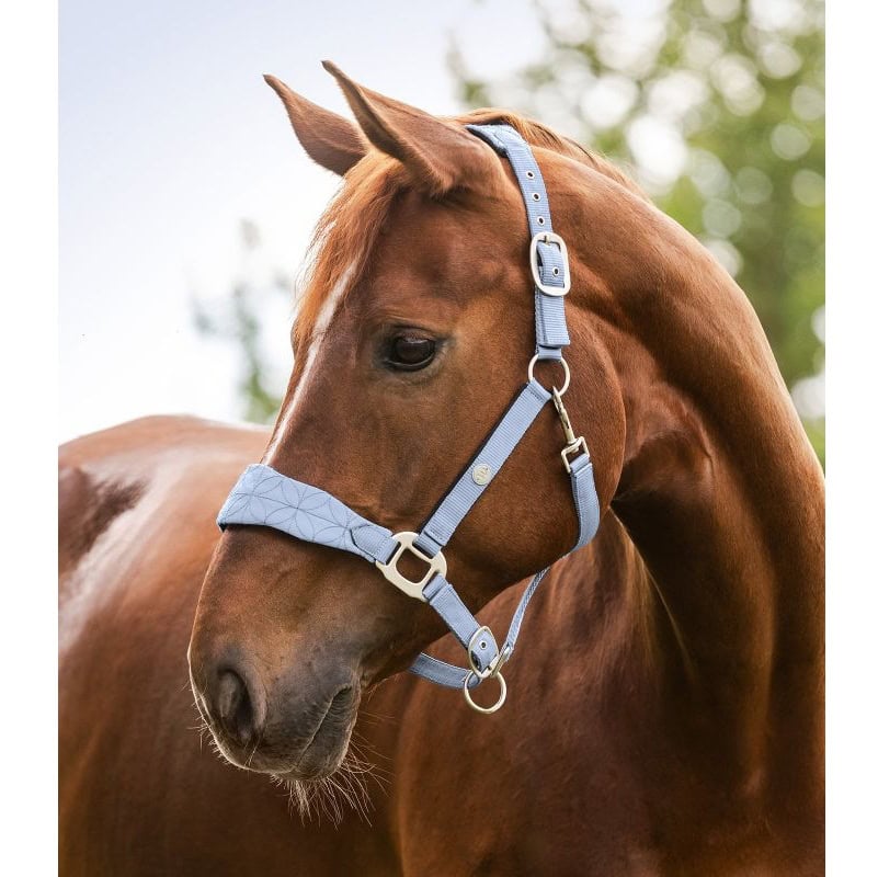 Ular Rom Waldhausen Ular Rom Waldhausen