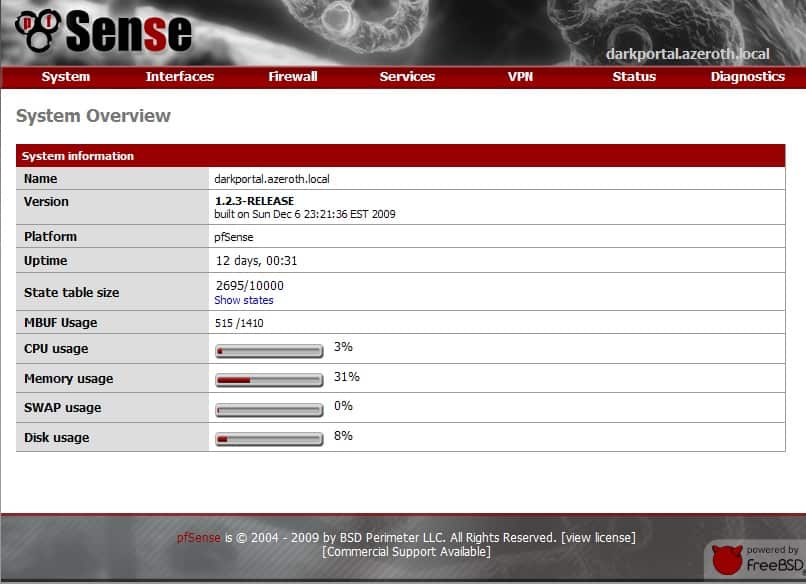 Townsville computer man router