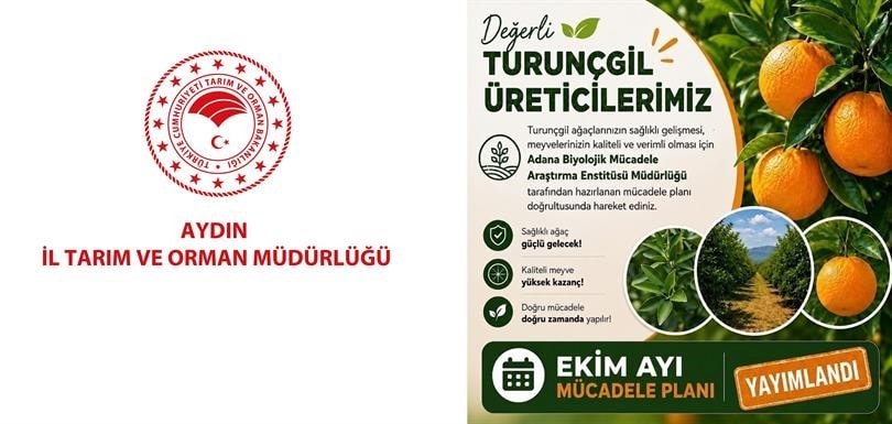 AYDIN İL TARIM VE ORMAN MÜDÜRLÜĞÜ, TURUNÇGİL ÜRETİCİLERİNİ EKİM AYINDA BAHÇELERİNDE GERÇEKLEŞTİRMELERİ GEREKEN KÜLTÜREL VE BİYOLOJİK MÜCADELE UYGULAMALARINA KARŞI UYARDI.