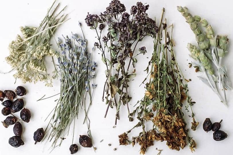 bundles of dried herbs for stress and anxiety (anti-anxiety herbs)