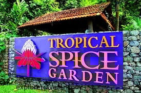 Lawatan Jalan-jalan ke Mercu Tanda Pulau Pinang: Meneroka Warisan Bandar 3 taman rempah tropika di pulau pinang