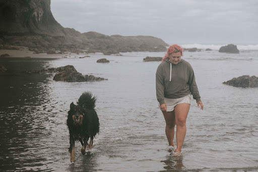 Dog walking on beach in the Oregon coast