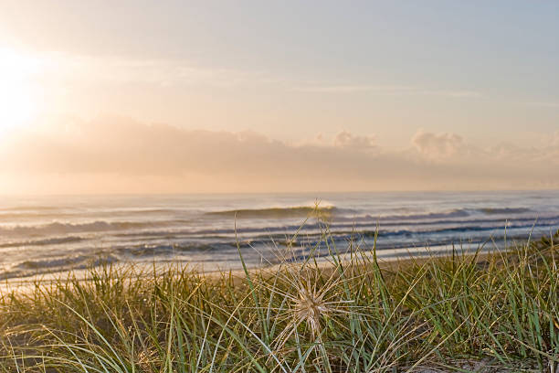 10 Best Beaches on Nantucket 3 Surfside Beach