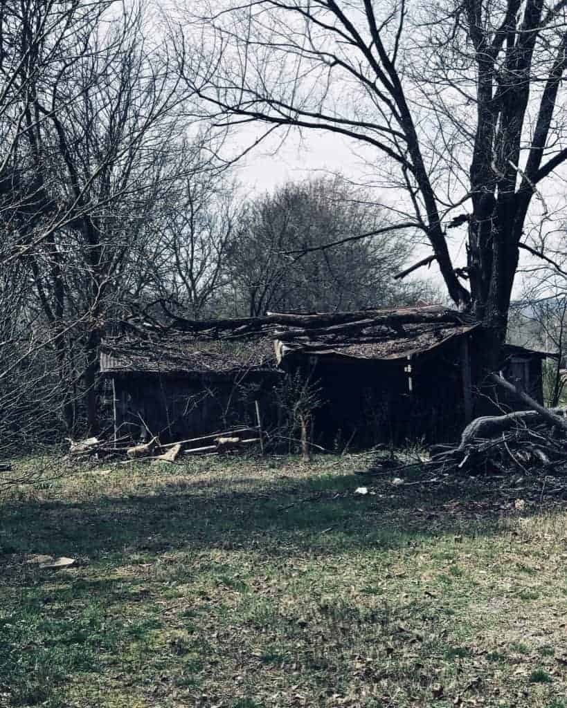 Old tool shed falling to the elements