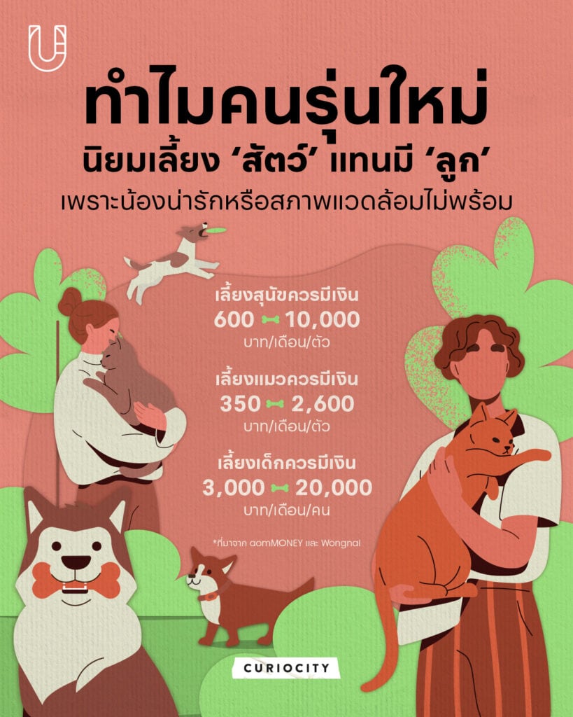 ทำไมคนรุ่นใหม่เลี้ยงสัตว์แทนมีลูก