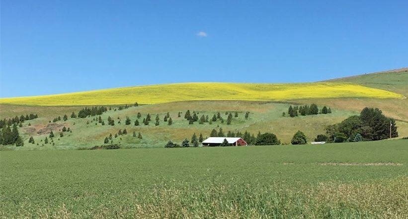 Blackbird Ranch Sanctuary