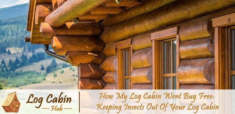 How my log cabin went bug free