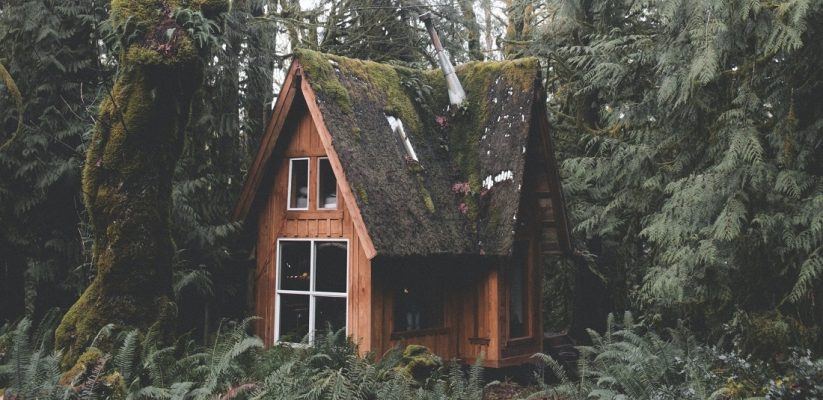 18 Tiny Log Homes Under 400 Square Foot Cover