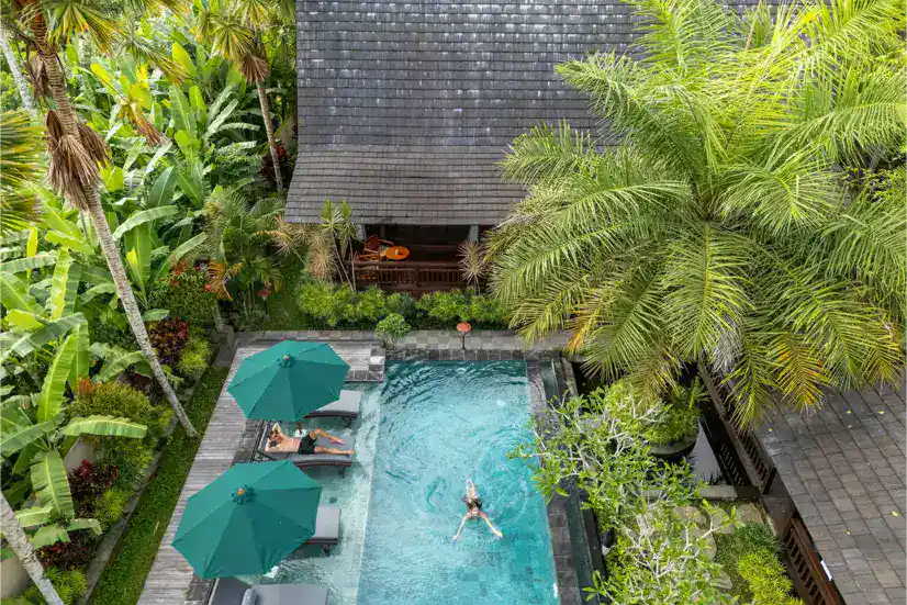 Private Pool Pemandangan Sawah di Villa Ubud Bali