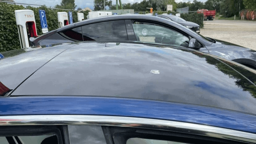 Photo montrant le toit de la Tesla Model 3, avec le haut de la Tesla Model Y en arrière plan.