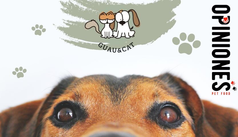Opiniones Guau and Cat