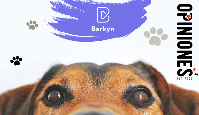 Barkyn: Opiniones verificadas de www.barkyn.com