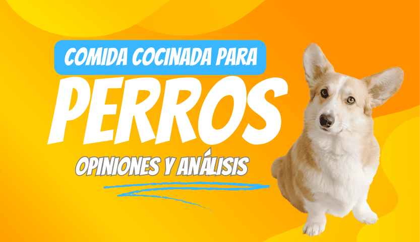 ¿Qué opinamos de la comida cocinada para perros?