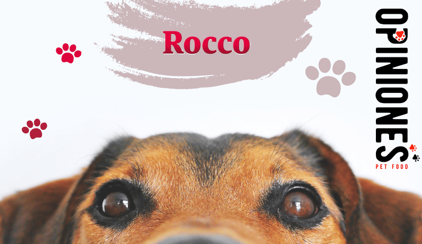 Opiniones de la comida para perros Rocco