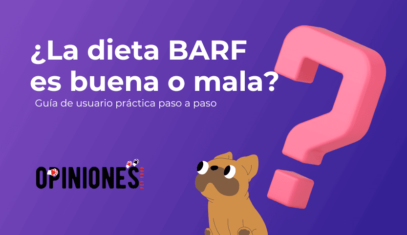 ¿La Dieta BARF es buena o mala?