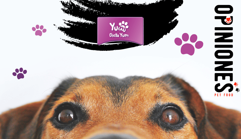 Dieta Yum: Opiniones verificadas de www.dietayum.com