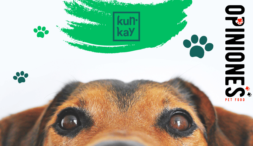 KUN KAY: opiniones verificadas de www.kun-kay.com