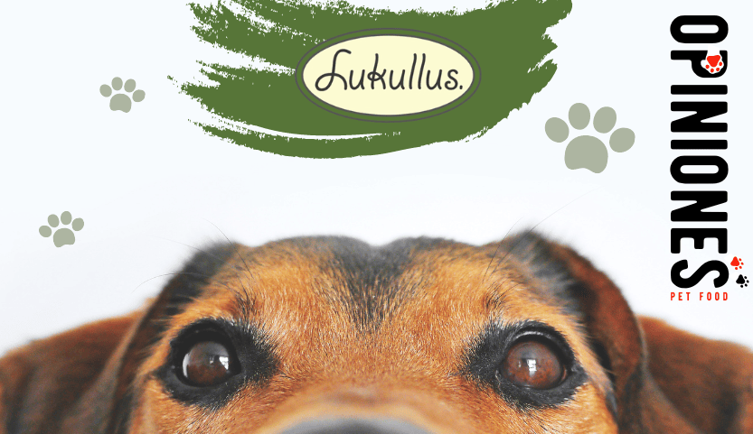 Opiniones de Lukullus, su pienso y comida húmeda