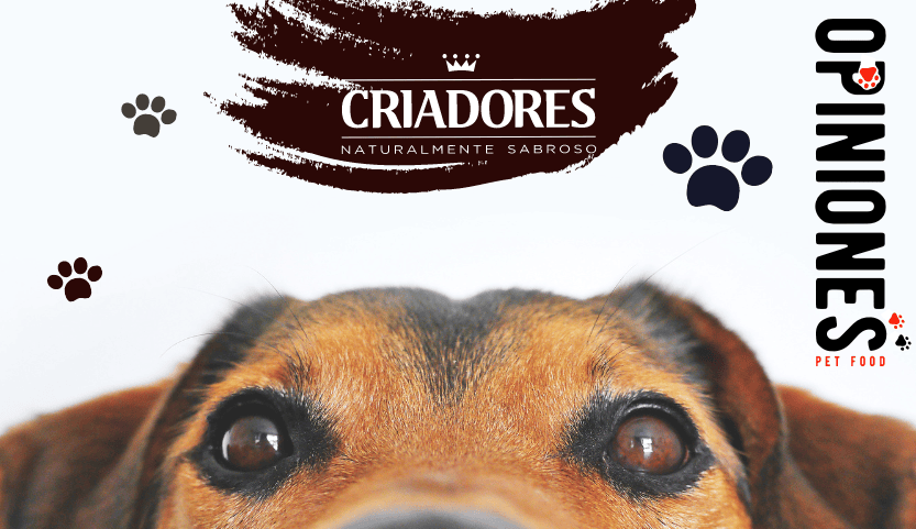 Opiniones del pienso Criadores para perros y gatos
