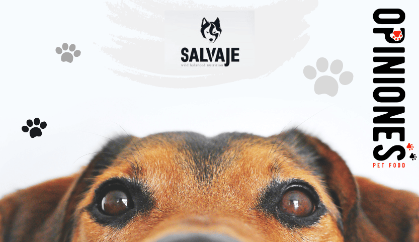 Opiniones del Pienso Salvaje y Salvaje Base para perros y gatos